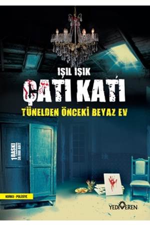 Çatı Katı