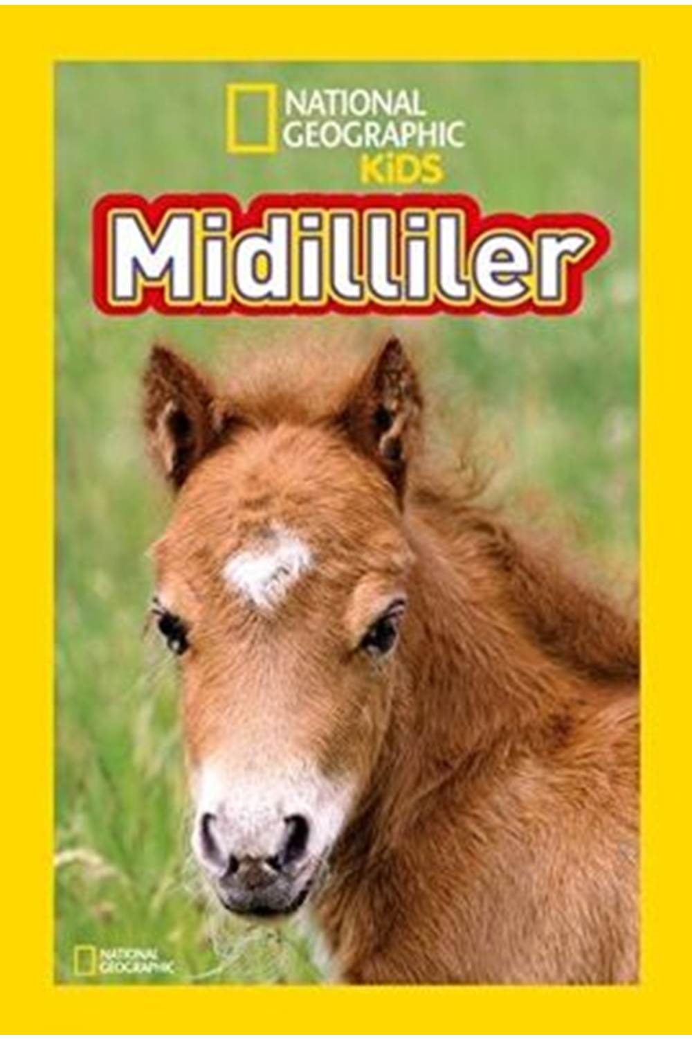 Midilliler - National Geographic Kids