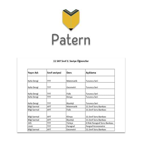 PATERN 11.SINIF SAYISAL 2.SEVİYE SET