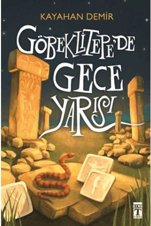 Göbeklitepe de Gece Yarısı