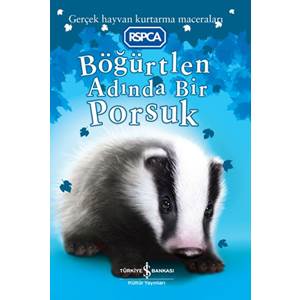 Böğürtlen Adında Bir Porsuk