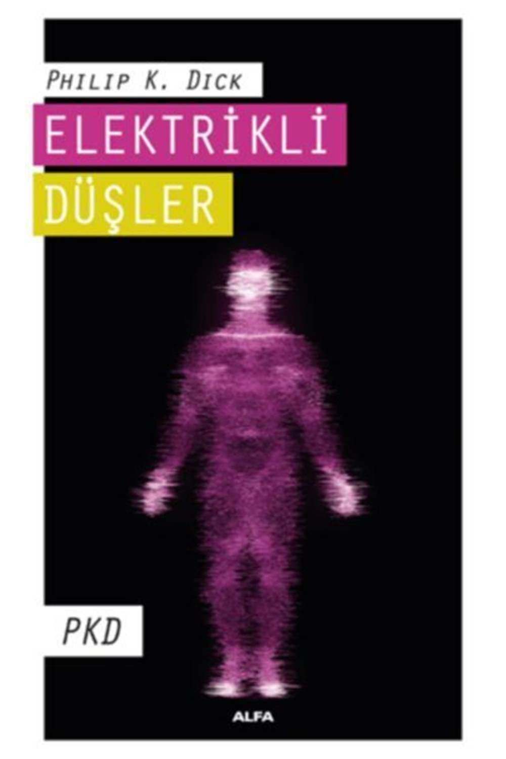Elektrikli Düşler