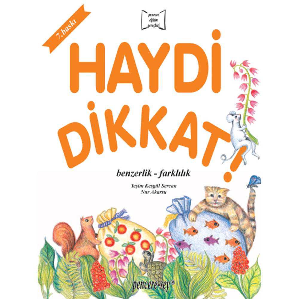 Haydi Dikkat Benzerlik Farklılık