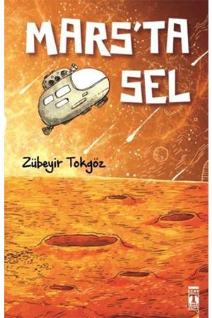 Mars'ta Sel