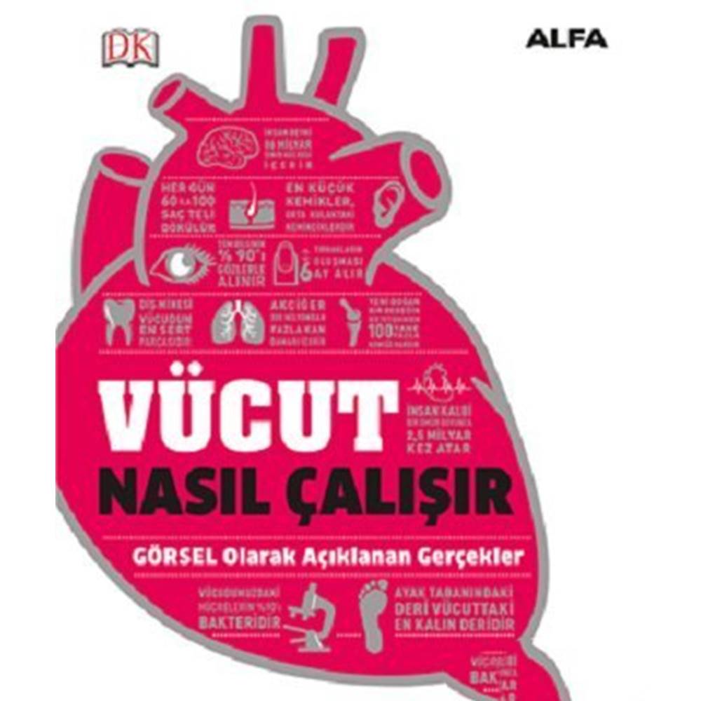 Vücut Nasıl Çalışır