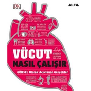 Vücut Nasıl Çalışır