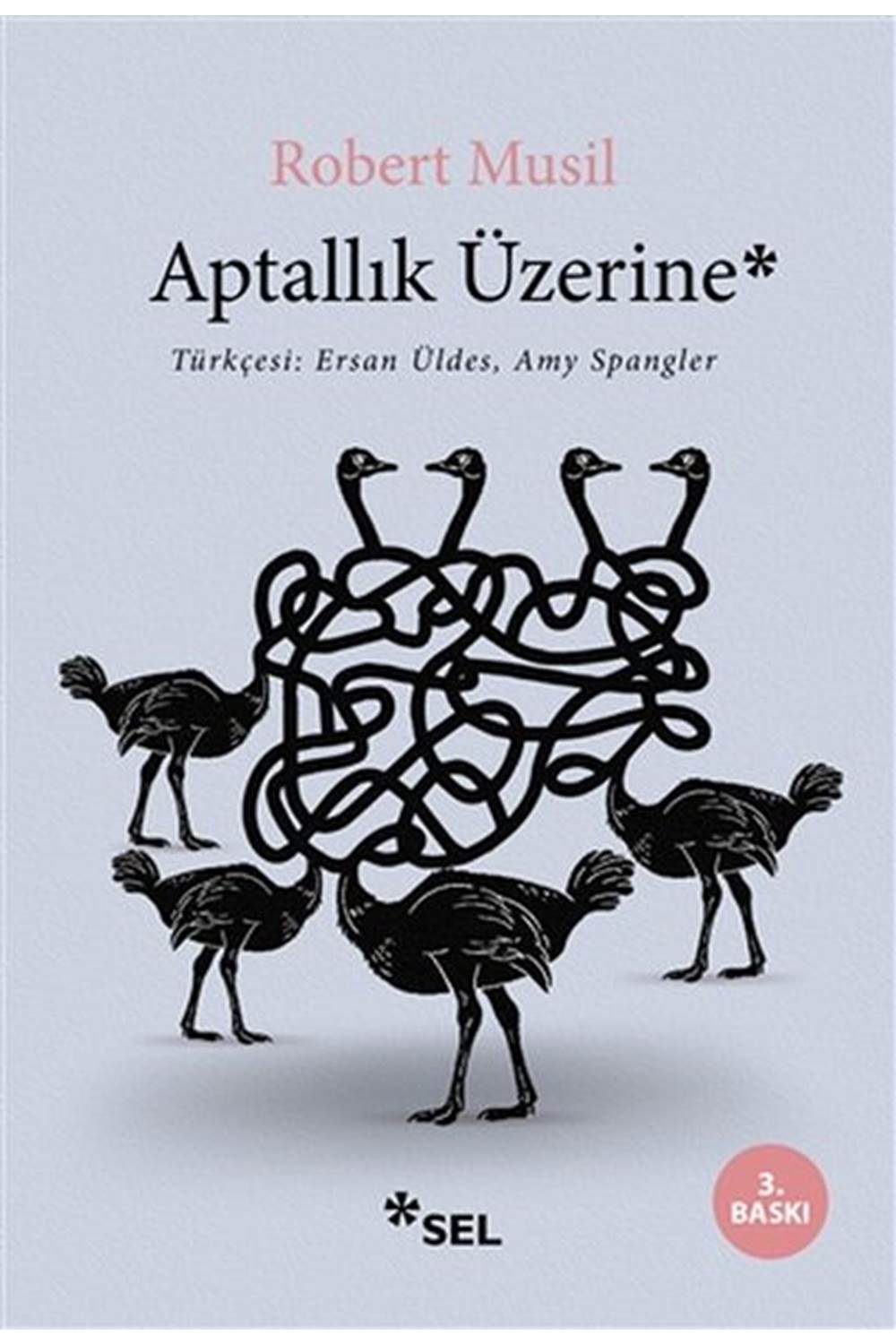 Aptallık Üzerine