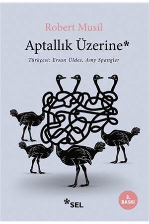 Aptallık Üzerine