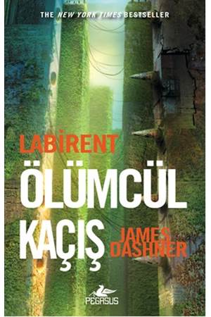 Labirent - Ölümcül Kaçış